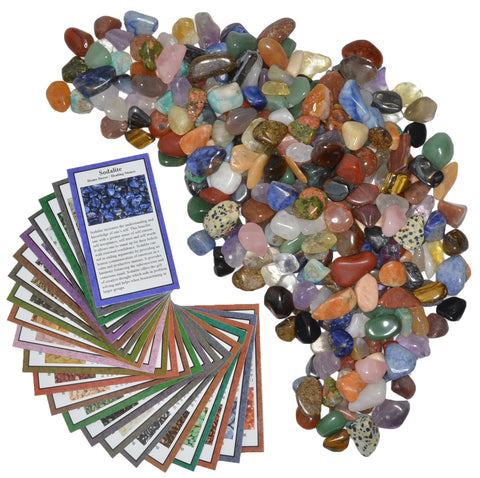 3 lbs XSmall Tumbled Polished Natural Gem Stones with Educational Rock Information and Identification Cards - avg 0.35" to 0.75"