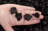 Shungite Stones from Russia - 0.5" to 2" Average Size