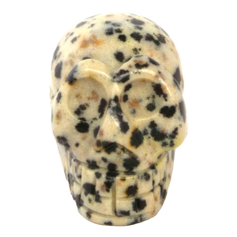 1 pc. of Dalmatian Jasper Carved Skull Figurine