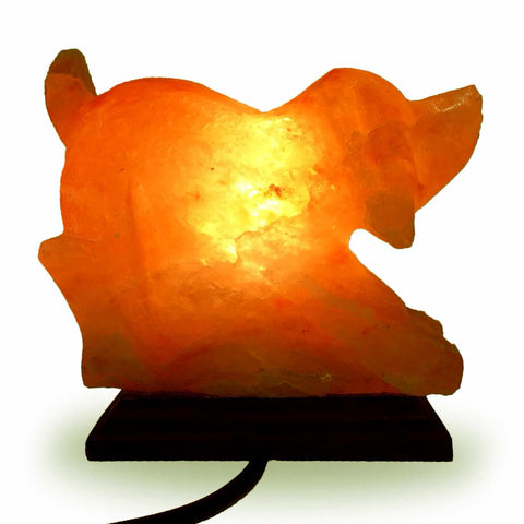 Natural Himalayan Dog Shape Salt Lamp