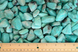 Tumbled Amazonite from Madagascar - 0.75" to 1.25" Avg. - Premium Polished Rocks!