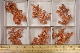 Large Sculptured Copper - Avg 2" to 2.5" - From Michigan